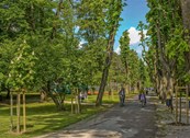 Novom sadnjom stabala Karlovac aktivan u prilagodbi klimatskim promjenama